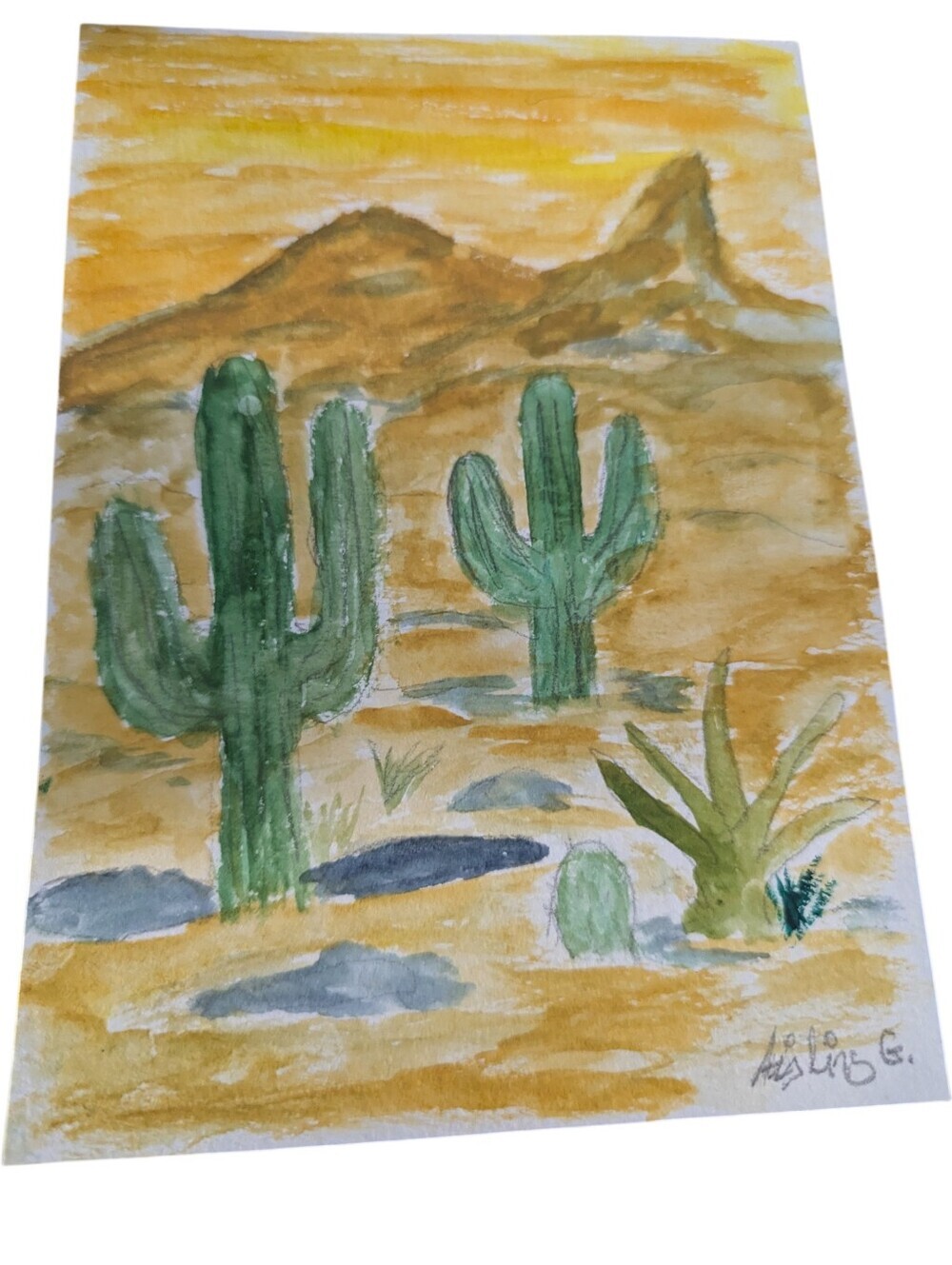 Cactus 🌵 Original watercolor 5'x7'